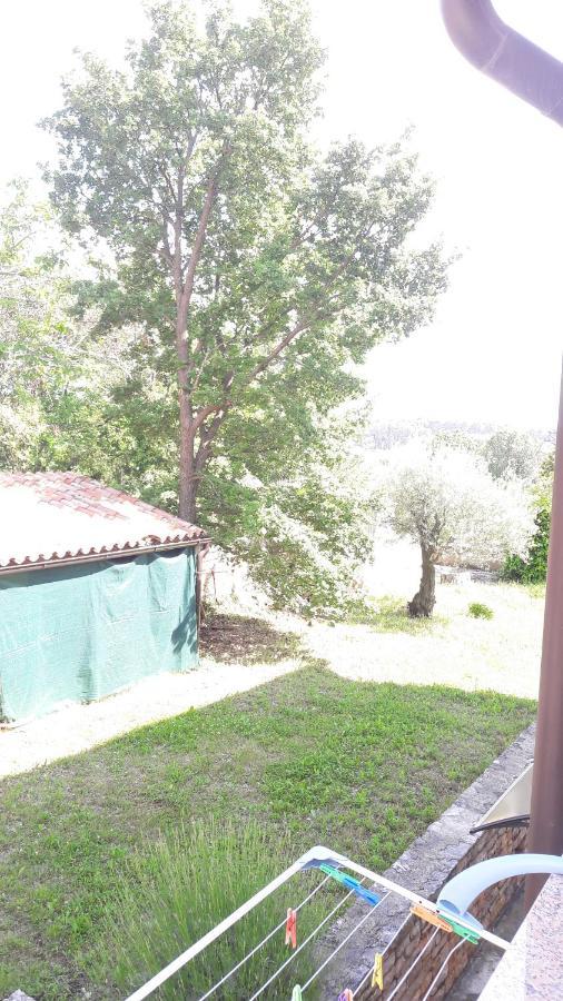 Apartment Radovan Poreč Zewnętrze zdjęcie