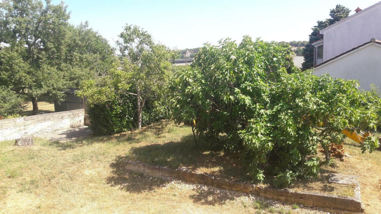 Apartment Radovan Poreč Zewnętrze zdjęcie