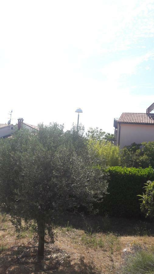Apartment Radovan Poreč Zewnętrze zdjęcie