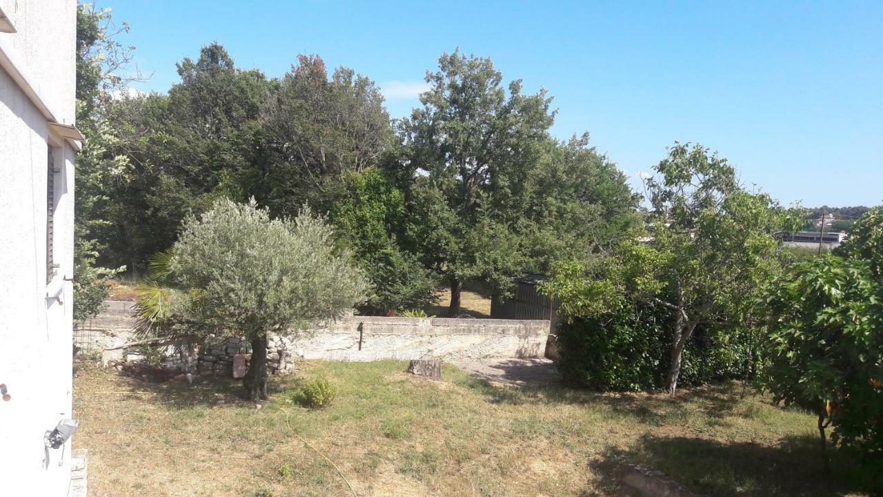Apartment Radovan Poreč Zewnętrze zdjęcie